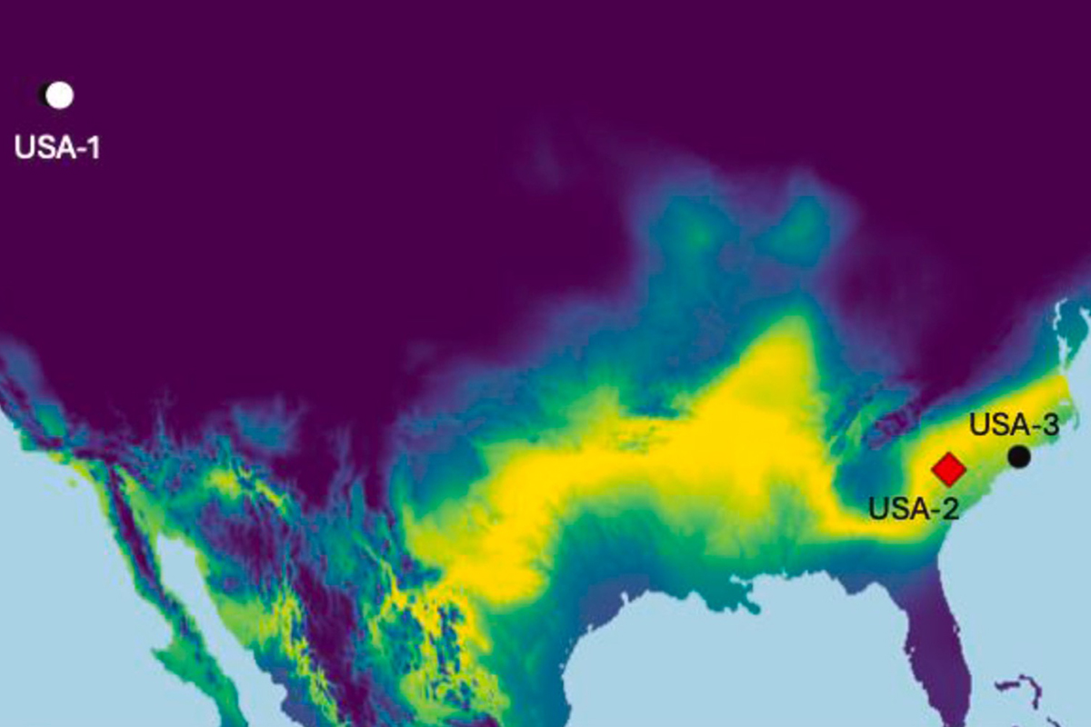 Probability Map