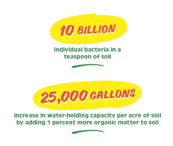 3factoid Soil@2x