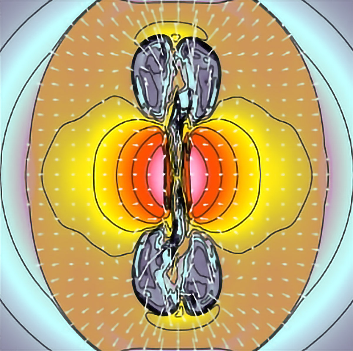 Disk and jet simulation