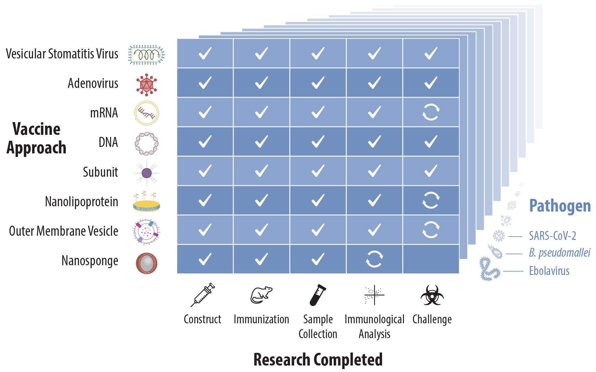 A chart showing how artificial intelligence can speed up vaccine development.