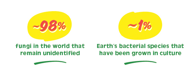 7factoid Soil@2x