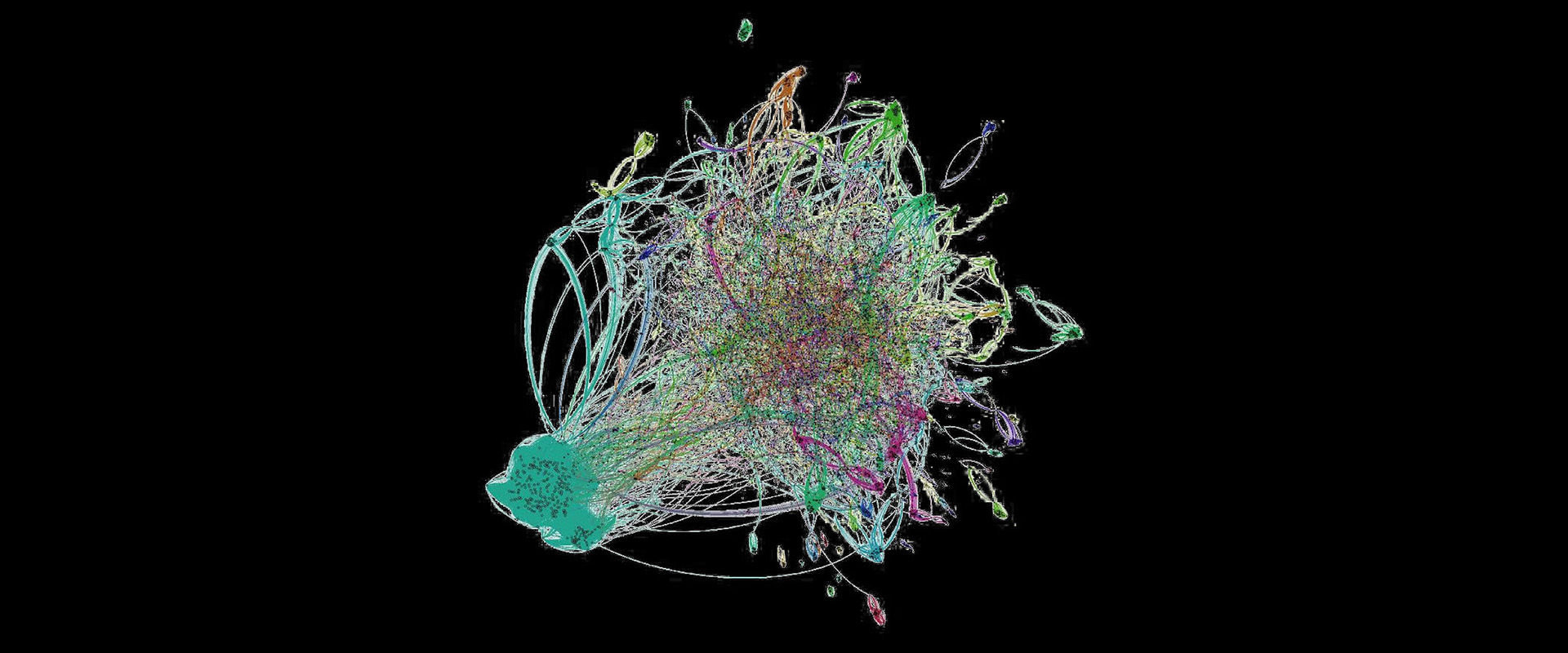 Discoveries Online Archives Banner