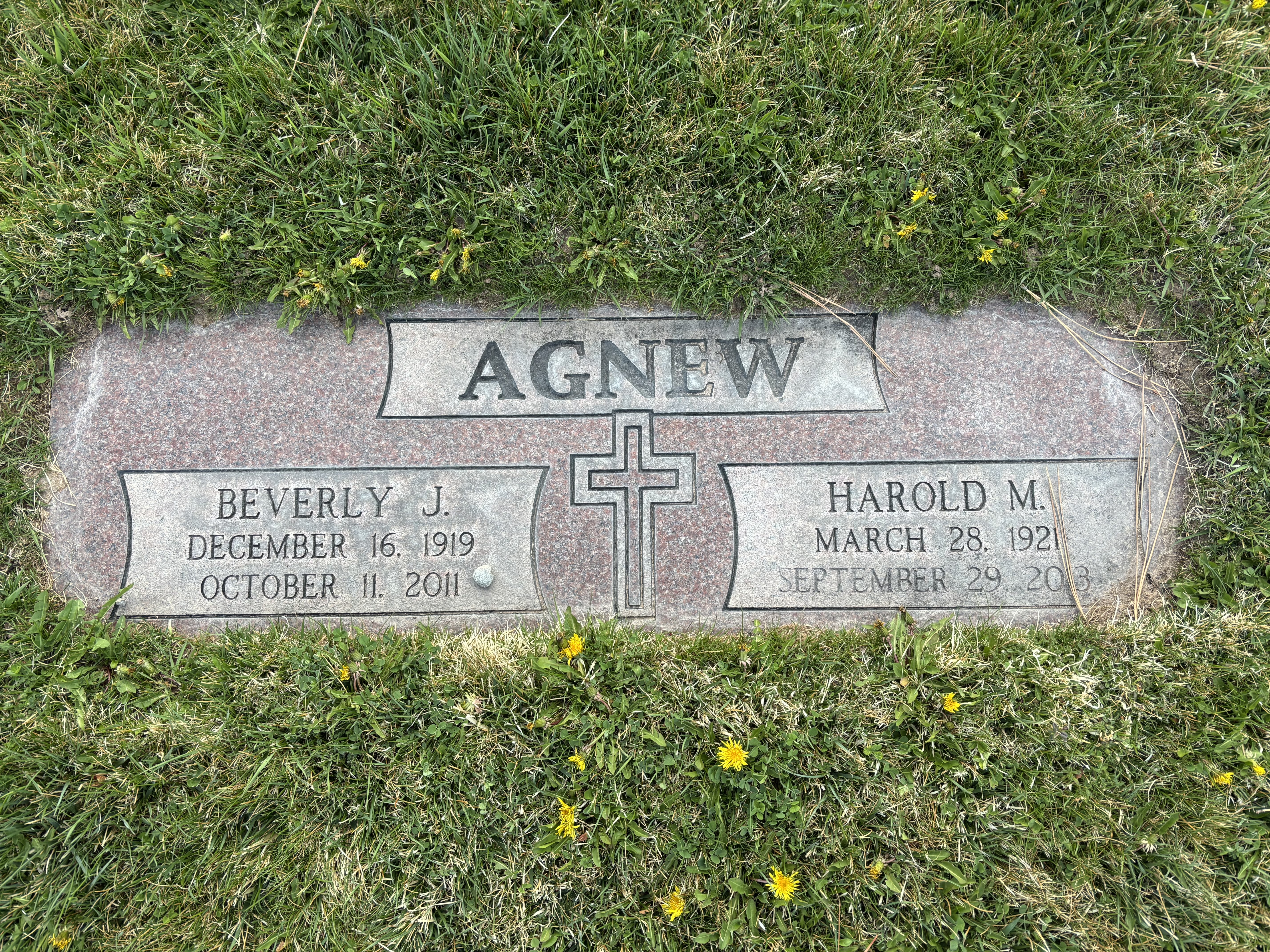 Agnew Grave