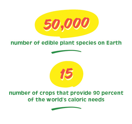 1factoid Hunger Games@2x 100