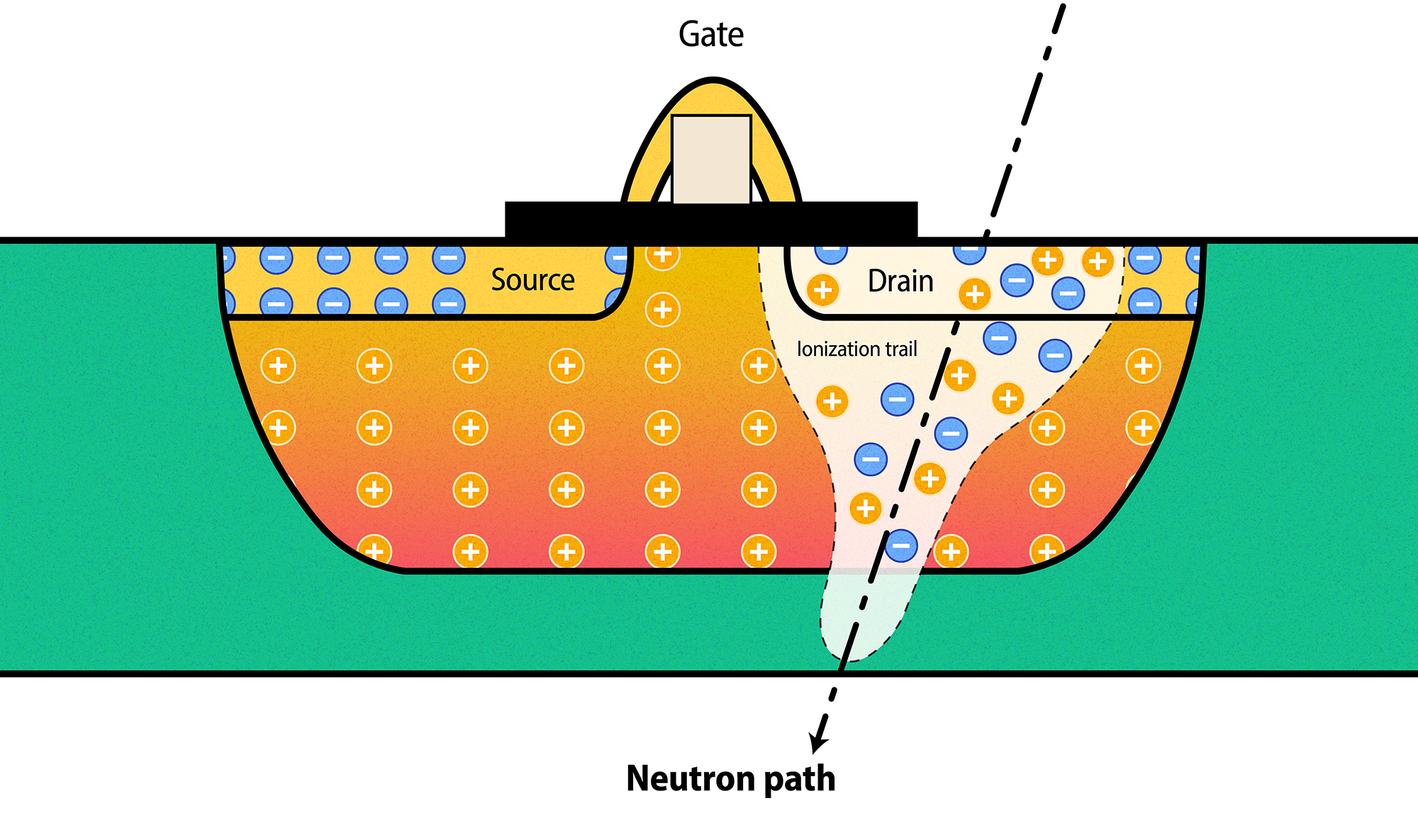 Schematic of a silicon transistor showing contained areas of positive and negative charge, as well as the disruption of that charge caused by a single neutron passing through the material.