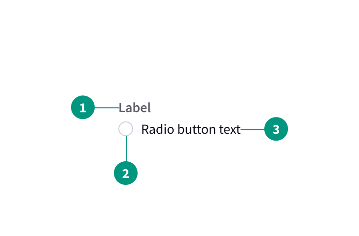 Radio Button Anatomy