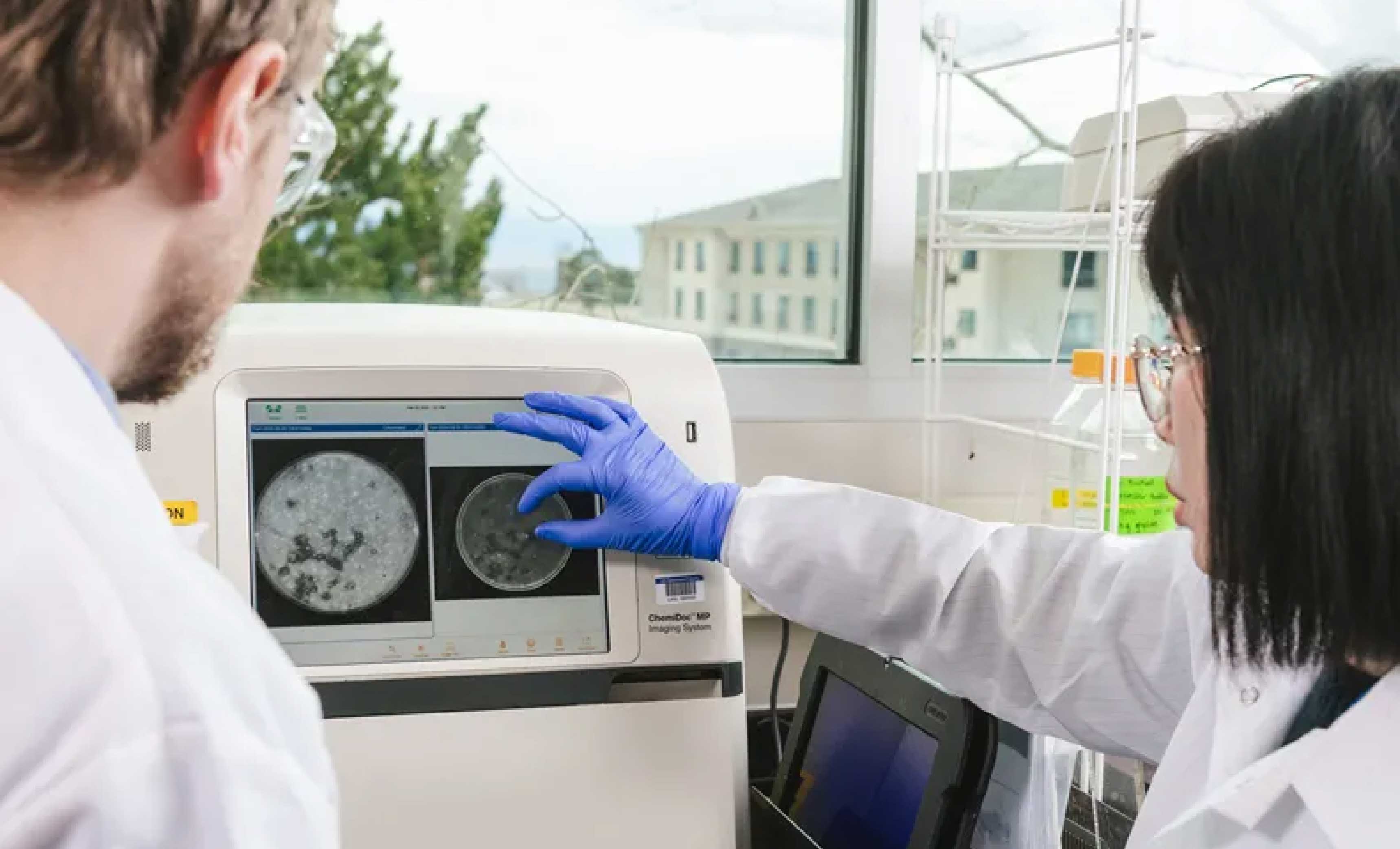 Thomas Groseclose, left, and Hau Nguyen analyze a screening plate on PAD-TIE