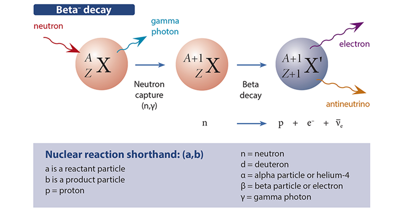 History 3 Publication Article Body@2x