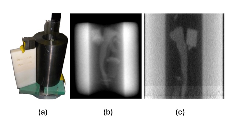 60r Fig2