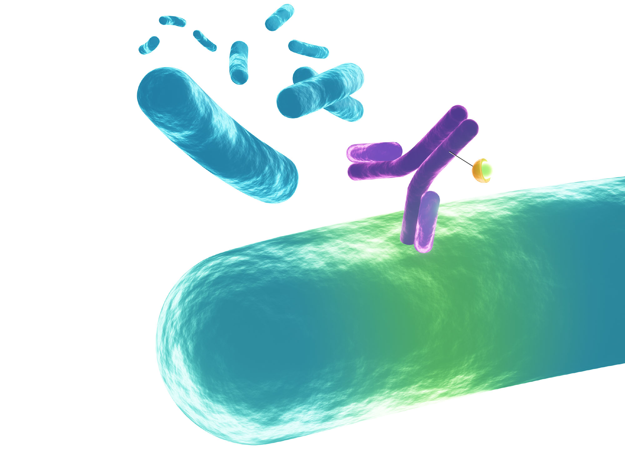 1663 39 Nuc Bacteria Radioisotope