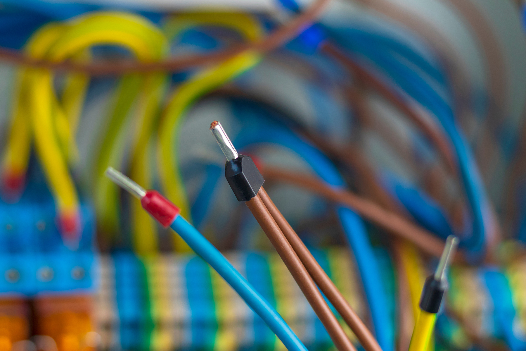 Adobe Stock image used for illustration purposes only