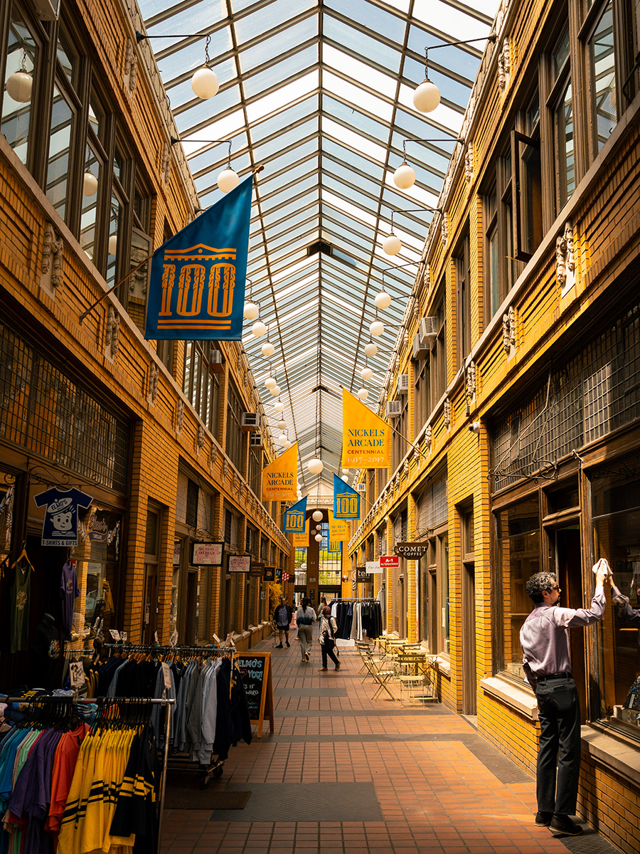 the beautiful Ann Arbor campus in the summer