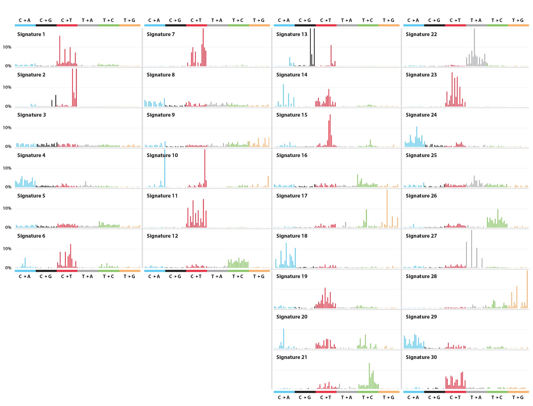 Cancer Genomes Body Image 1700x1295