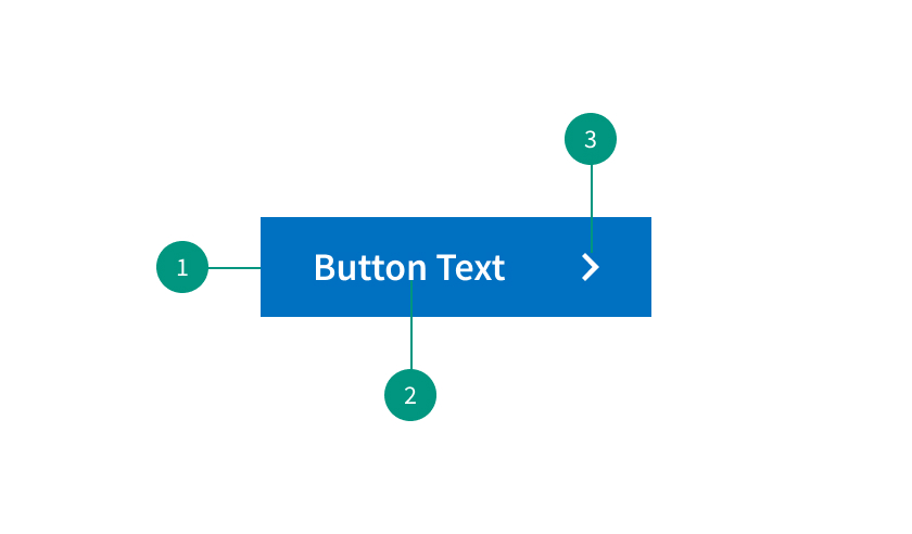 Button Anatomy