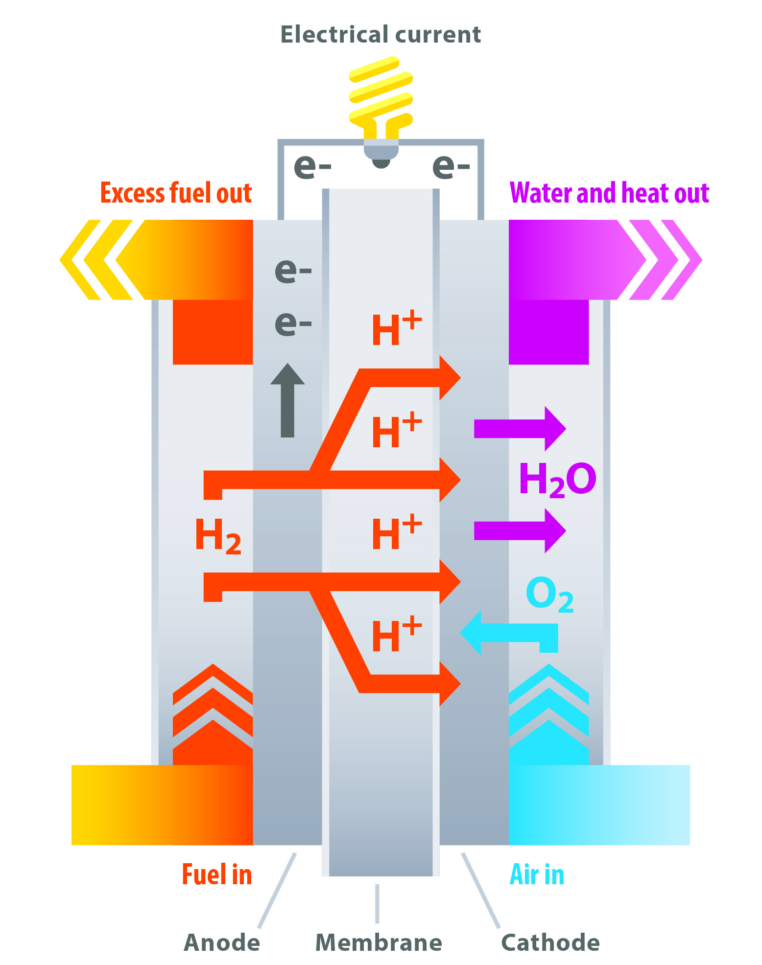 Pefc Fuel Cell
