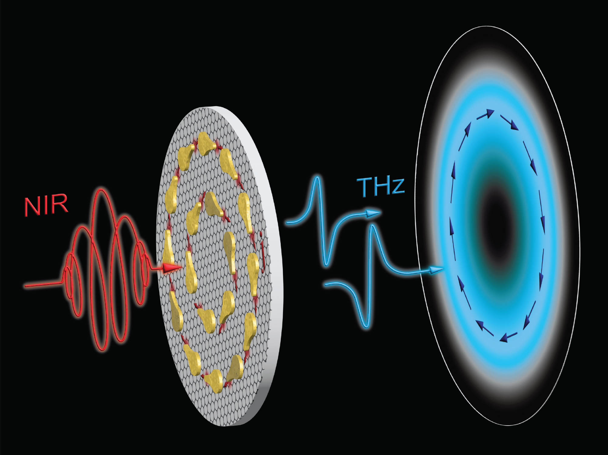 An array of gold plasmonic nanoantennas with broken inversion symmetry and engineered orientations on top of large-area CVD grown graphene, exciting nanoscale ultrafast vectorial transient currents and consequently generating ultrabroadband terahertz vect