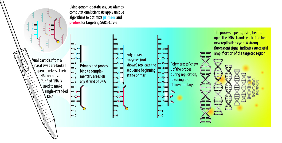 Pcr@2x