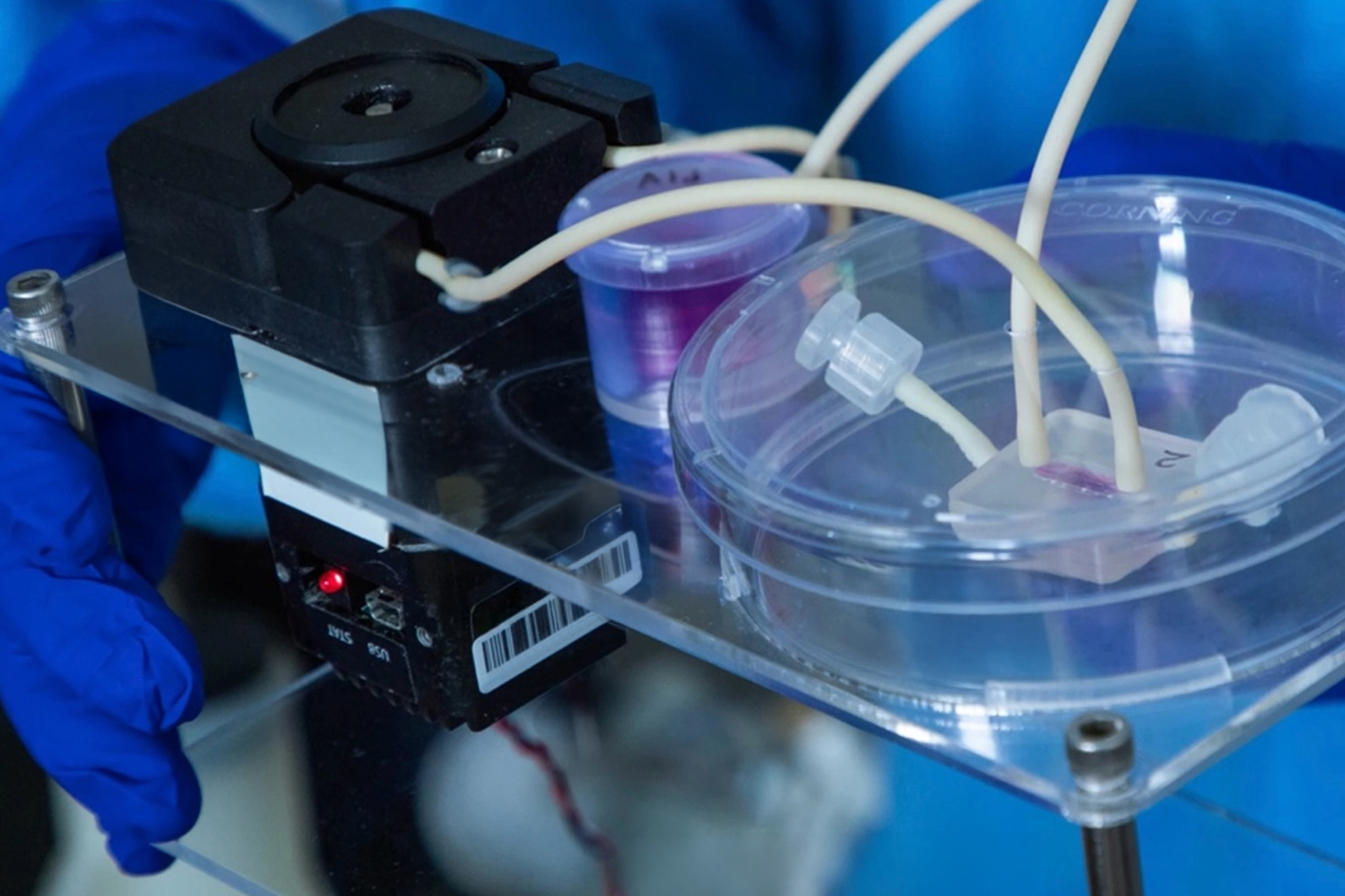 Feature Bioreactor