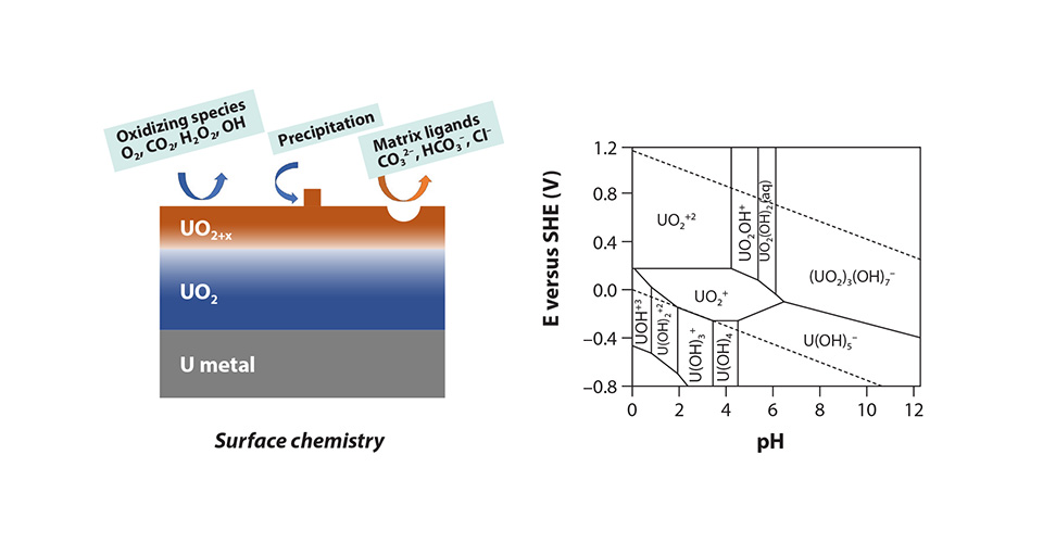 Featured Body Q124 Fig 1 Simulating