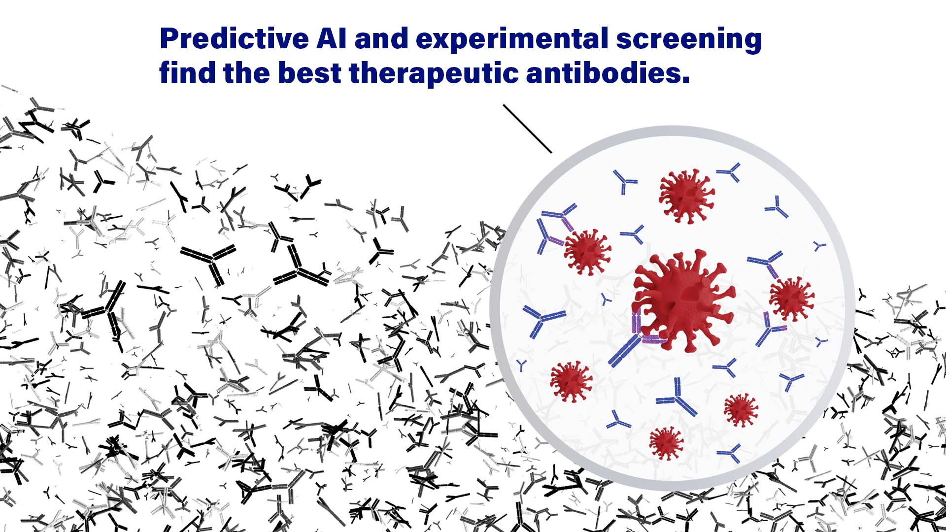 An illustration of antibodies, depicting how computational immunology is used to identify spike proteins and improve experimental studies.
