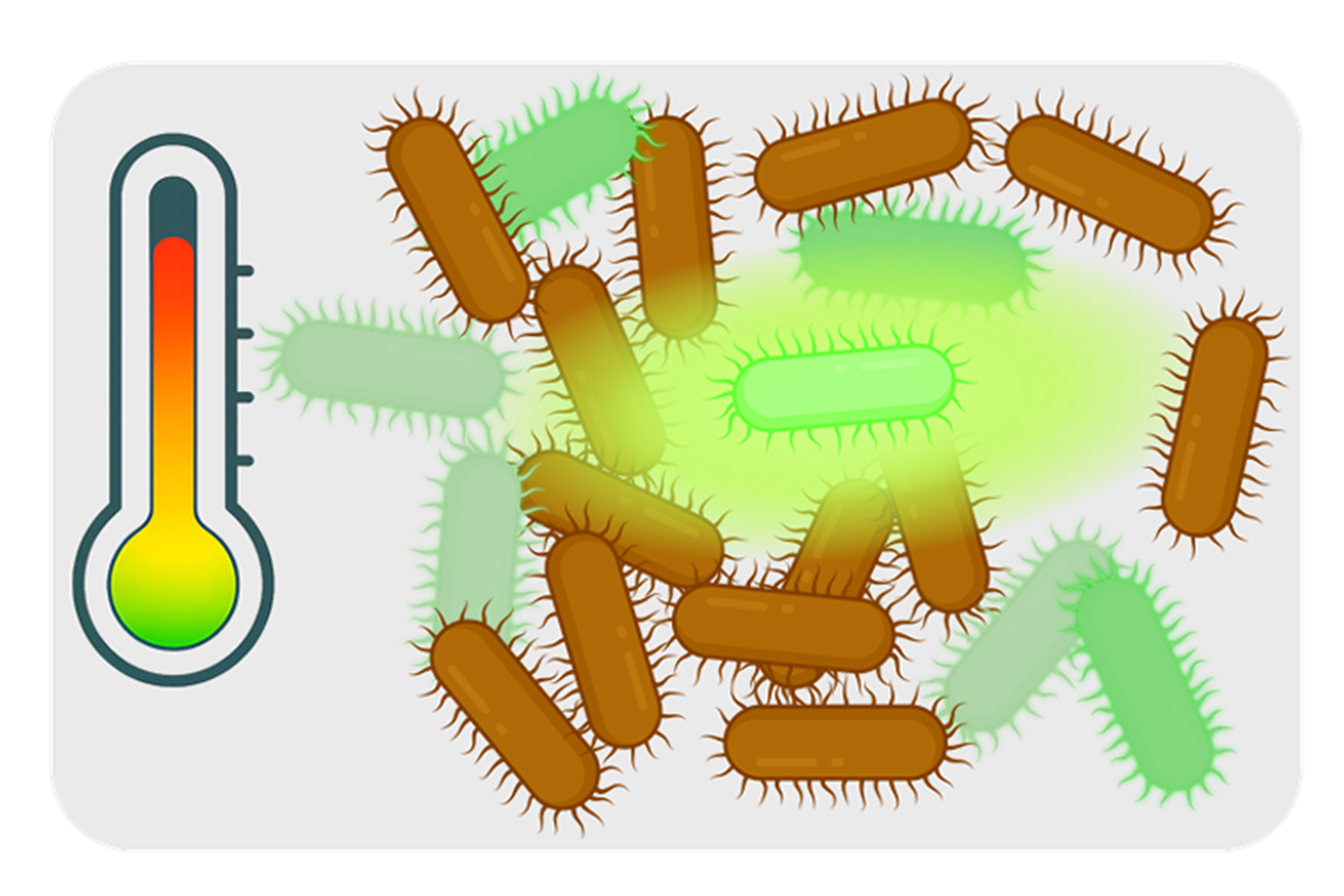 Thermostability Feature