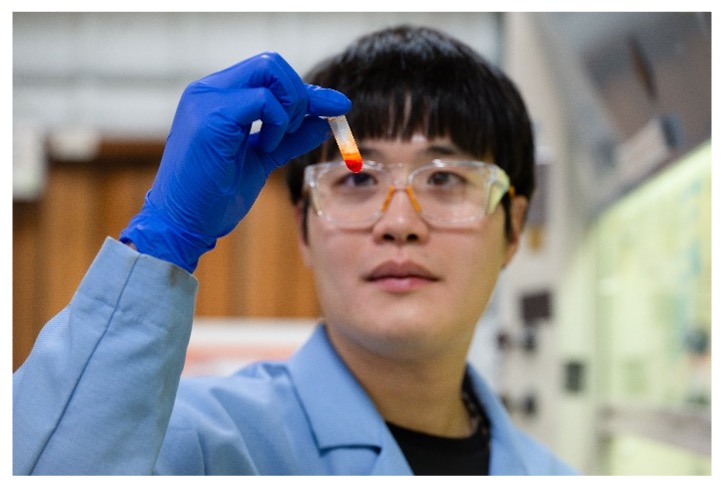 Quantum Dots Synthesis
