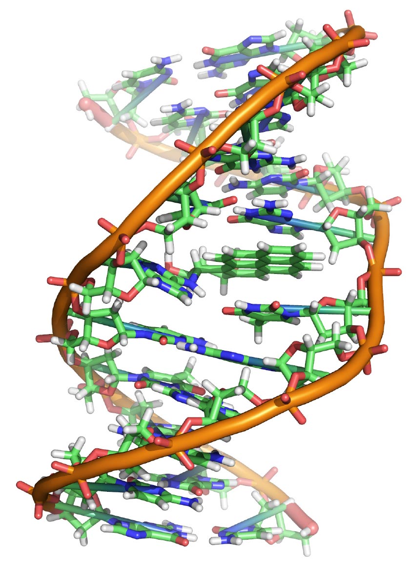 DNA Side Image 840x550