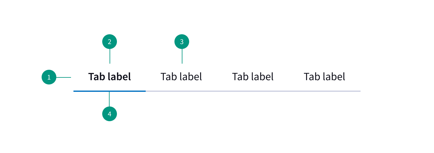 Tabs Anatomy