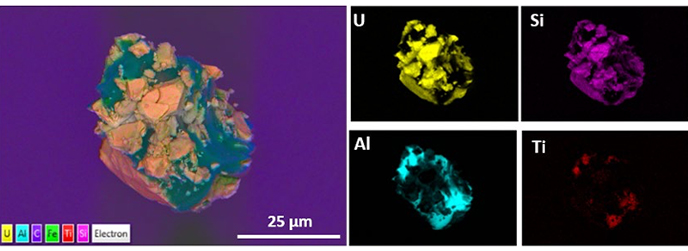 Spatially resolved elemental data in single particles