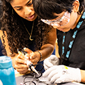 Lady helping student with STEM activity