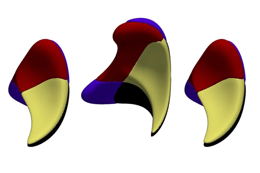 Ste Highlights 3 27 2026 Card