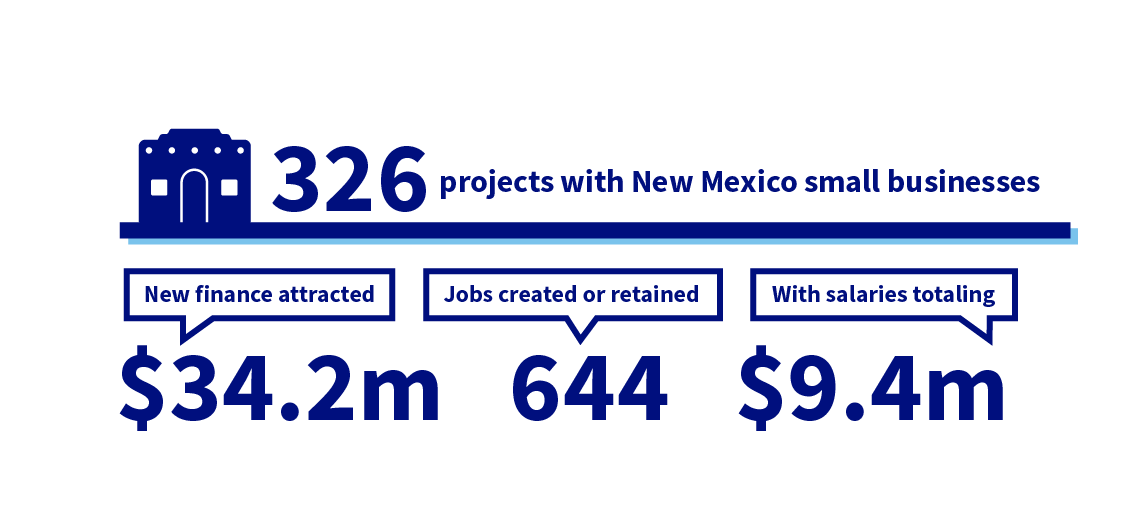 Economic Impact NM Small Business