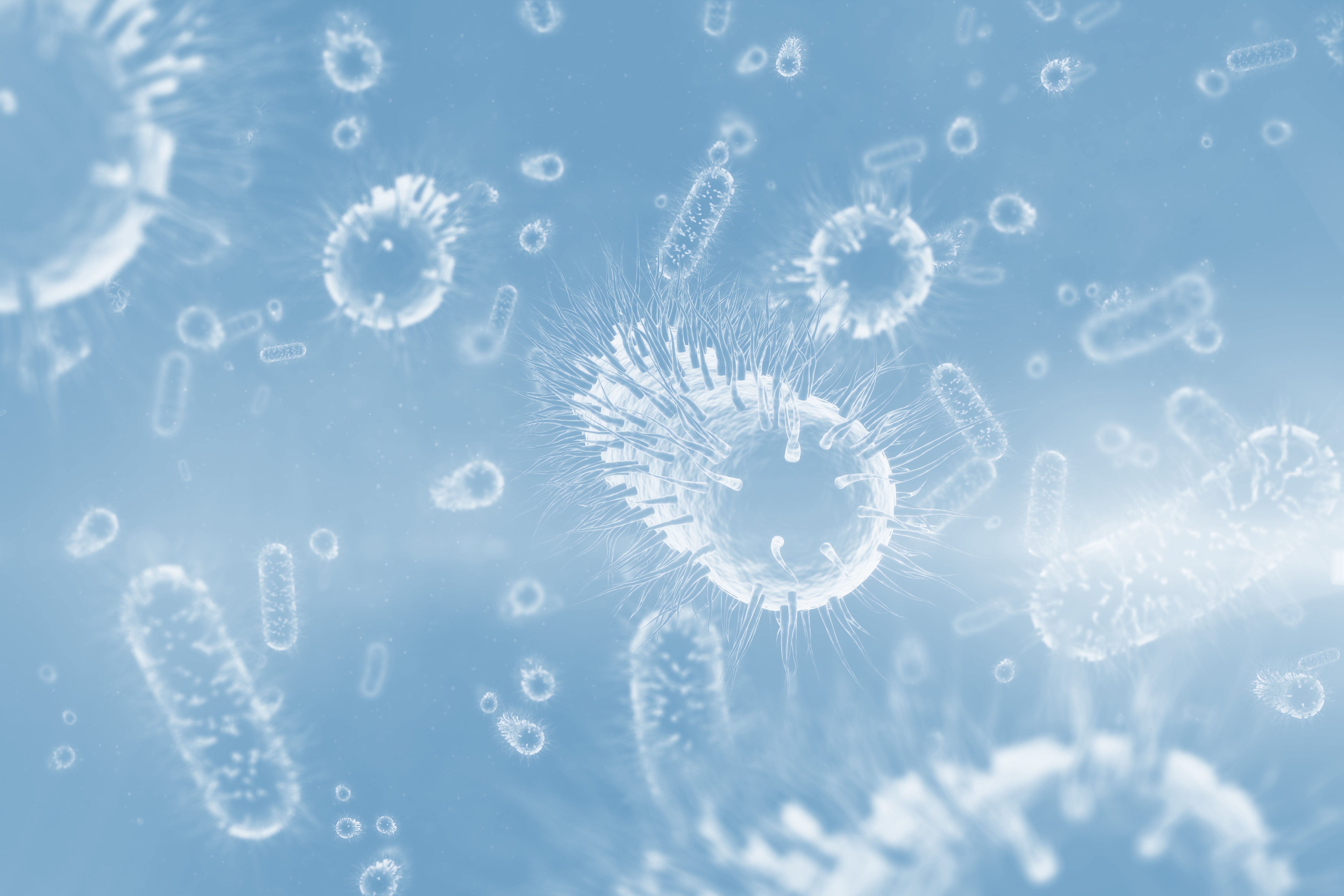 Bacteria Image