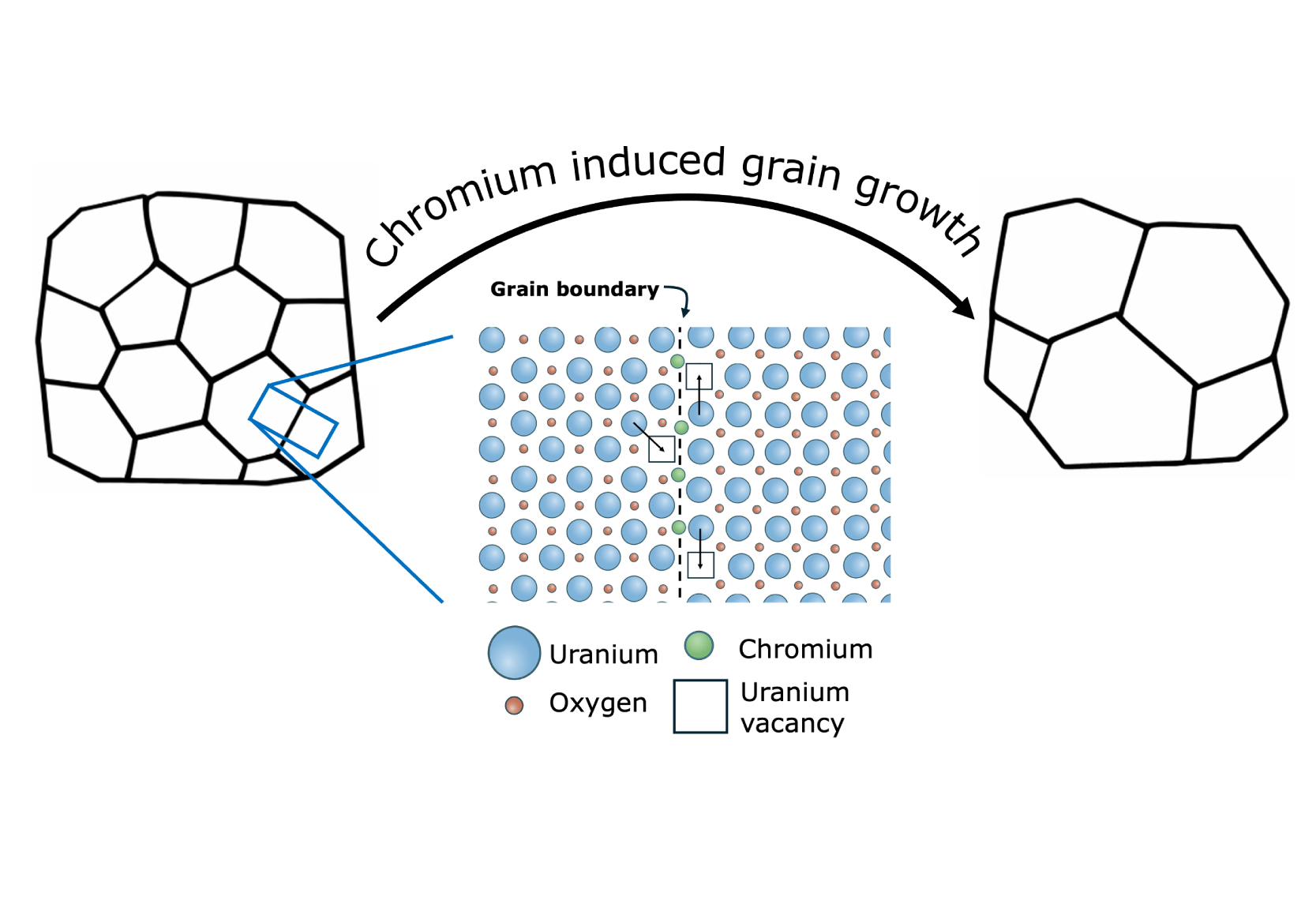 chromium-induced grain growth