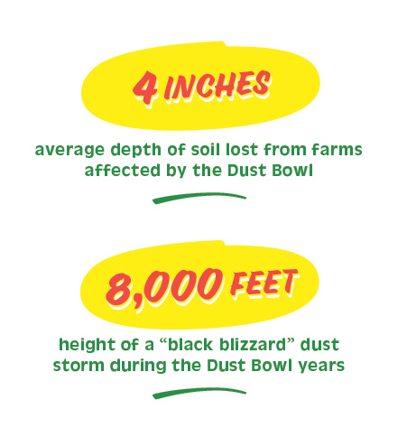 1factoid Soil@2x