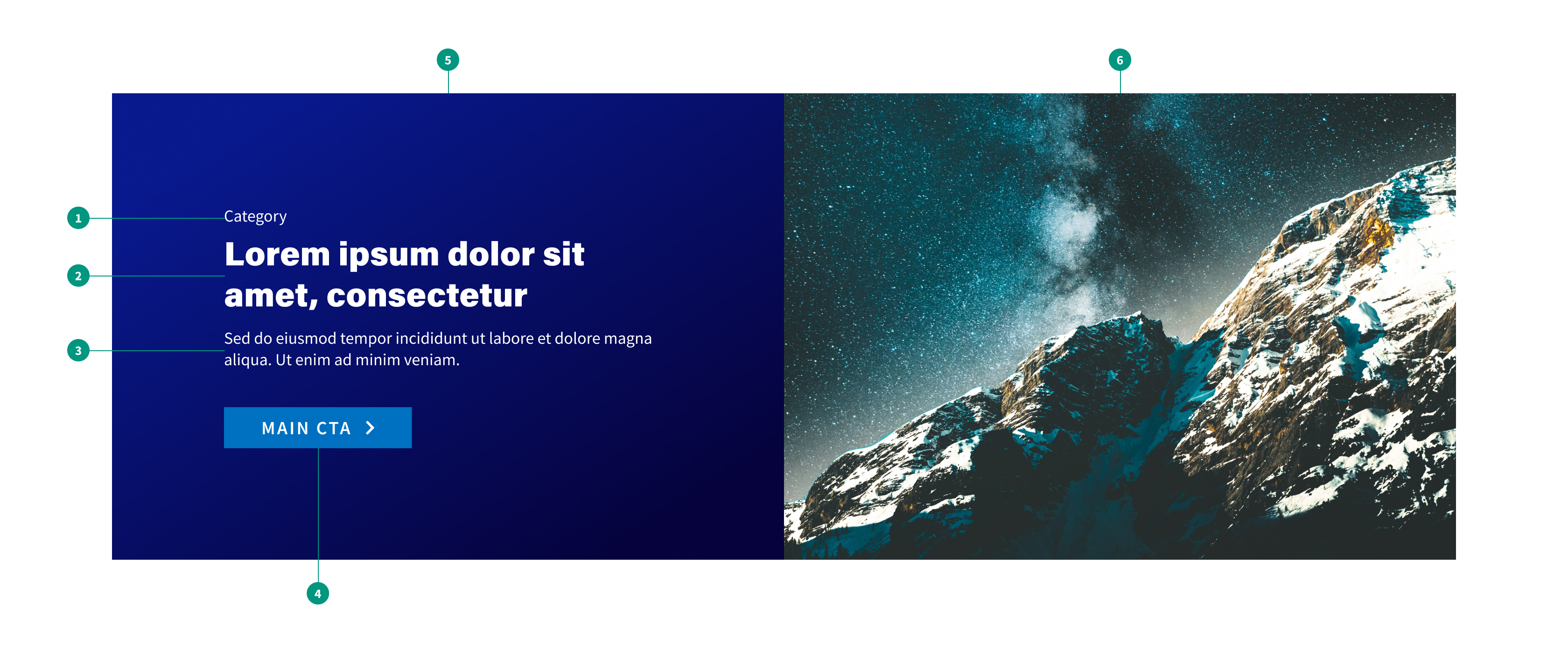 Banner Split Anat