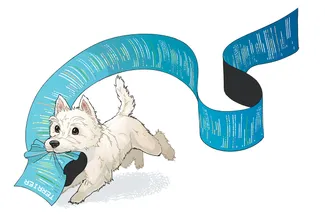 Terrier Illustration